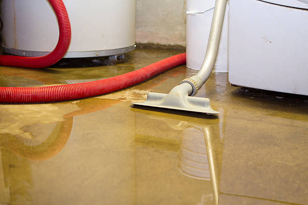 Best Commercial water damage restoration  in Lake Ozark, MO