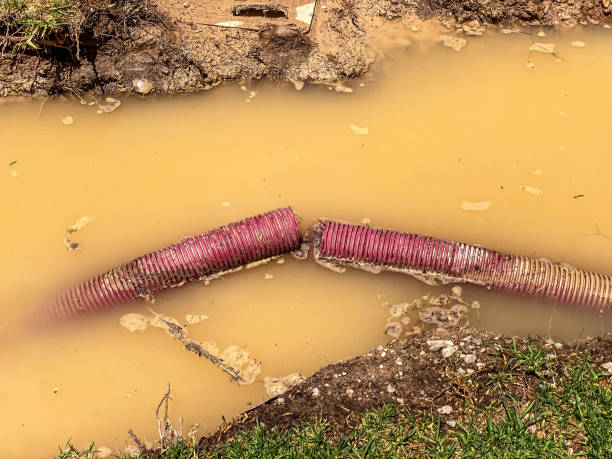 Best Water damage restoration near me  in Lake Ozark, MO